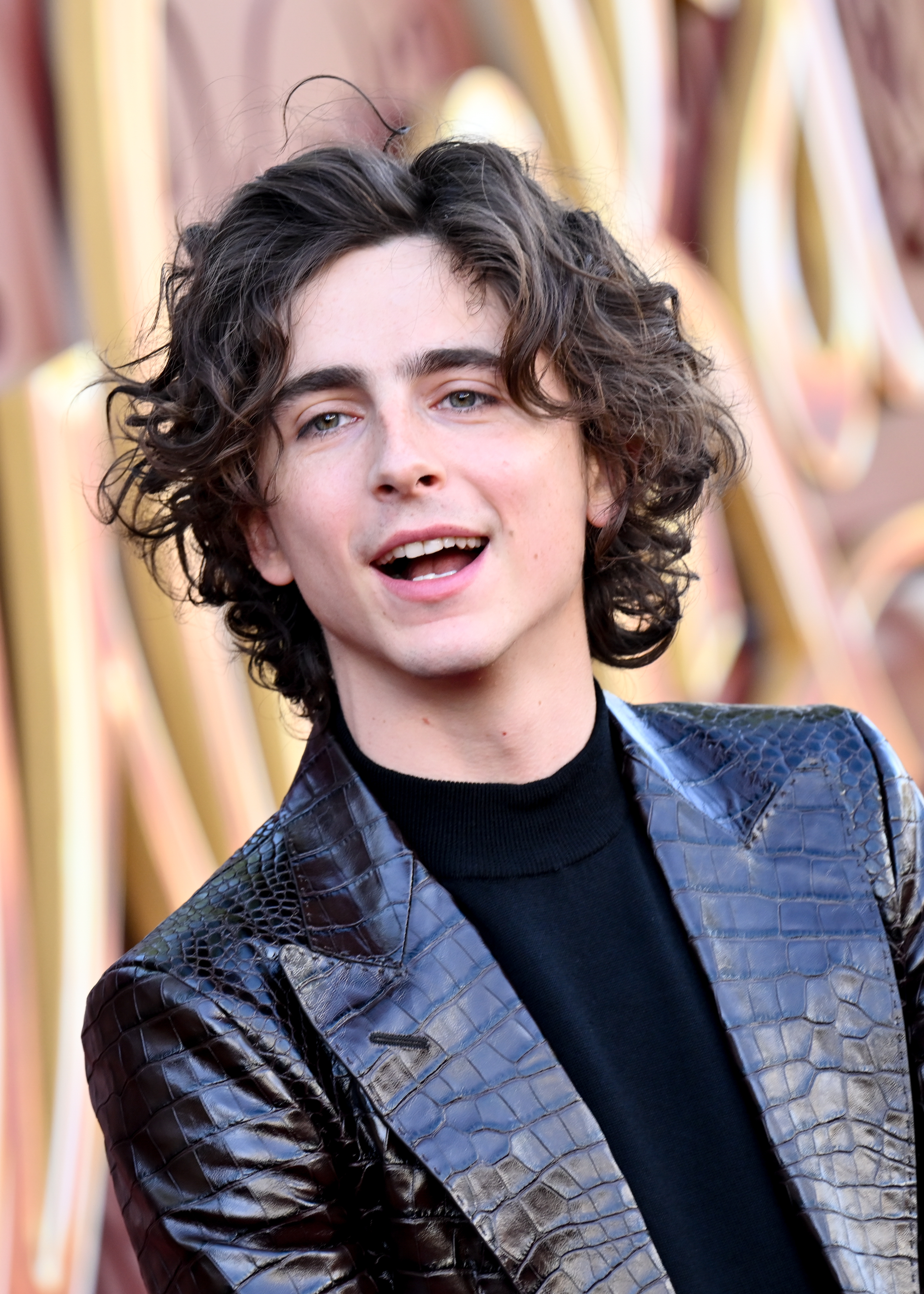 Timothée wearing a black turtleneck and a textured jacket on the red carpet