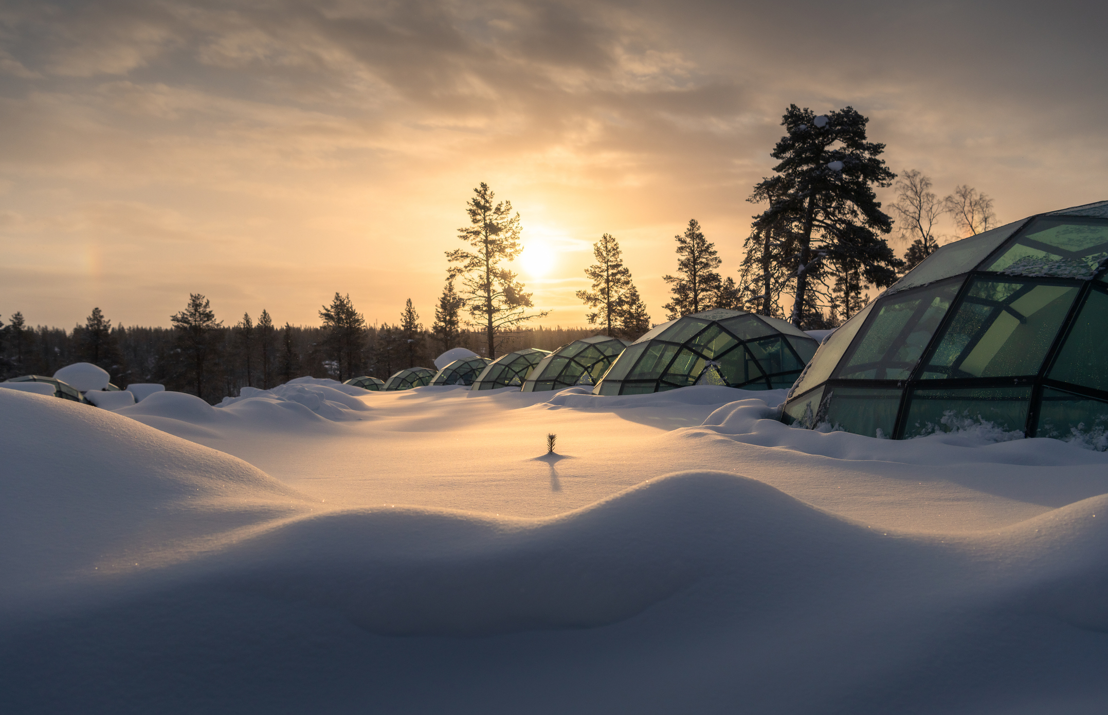 Glass igloos nestled in snow under a sunrise