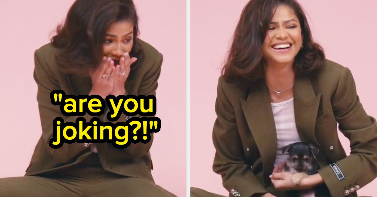 Zendaya Talks About Dune: Part Two And Plays With Puppies