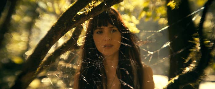 Cassandra peering through a spiderweb, sunlight and trees in the background, from a movie scene