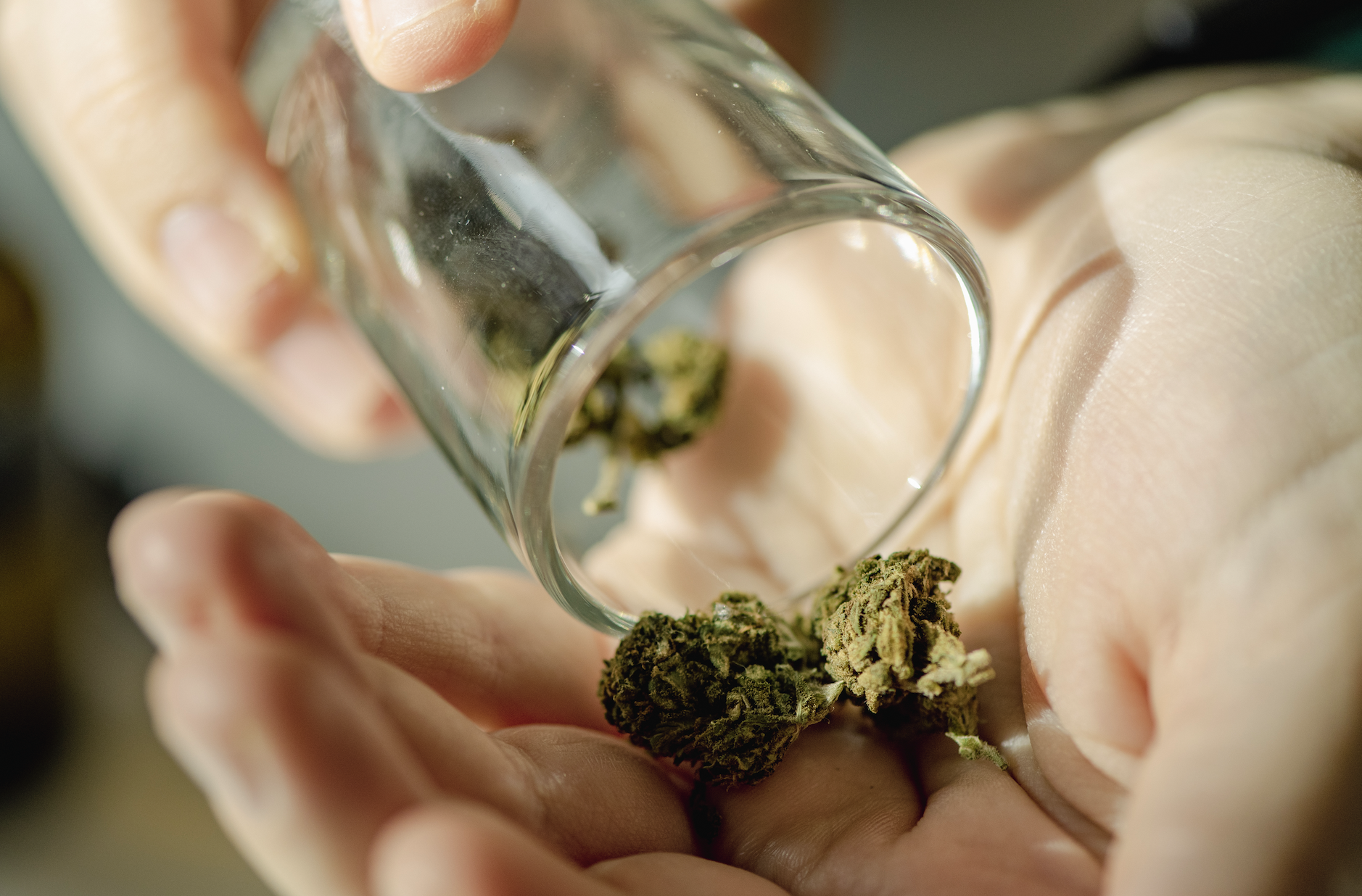Person pouring dried cannabis buds from a glass jar into their hand
