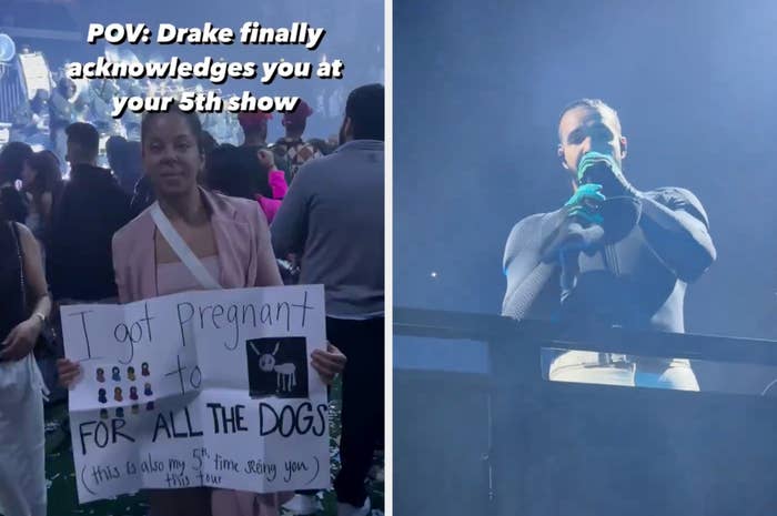 Fan holds sign at concert; artist on stage in background. Sign reads &quot;I got pregnant for ALL THE DOGS (This is also my 5th time seeing you)&quot;