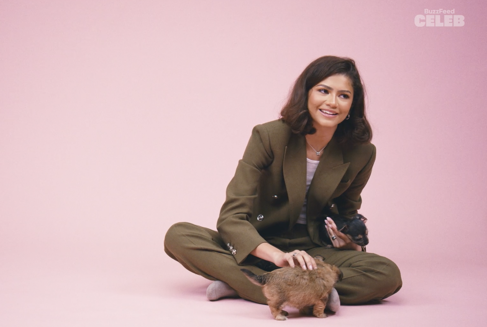 Zendaya, in a pantsuit, sits on the floor with a puppy against a pink backdrop