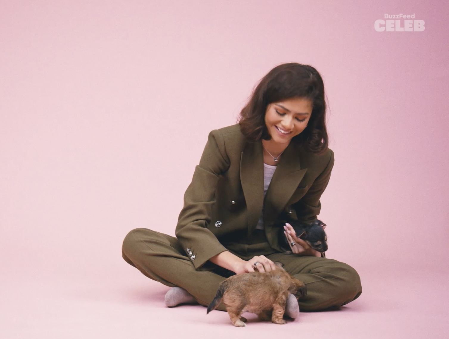 Zendaya, in a pantsuit, kneels and pets a puppy on a pink backdrop, with &quot;Buzzfeed CELEB&quot; logo in the corner