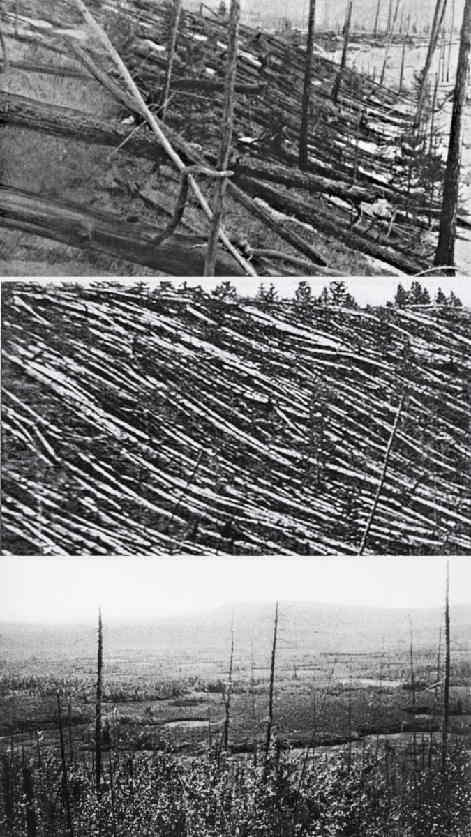 Three-panel image showing tree devastation patterns after the Tunguska event