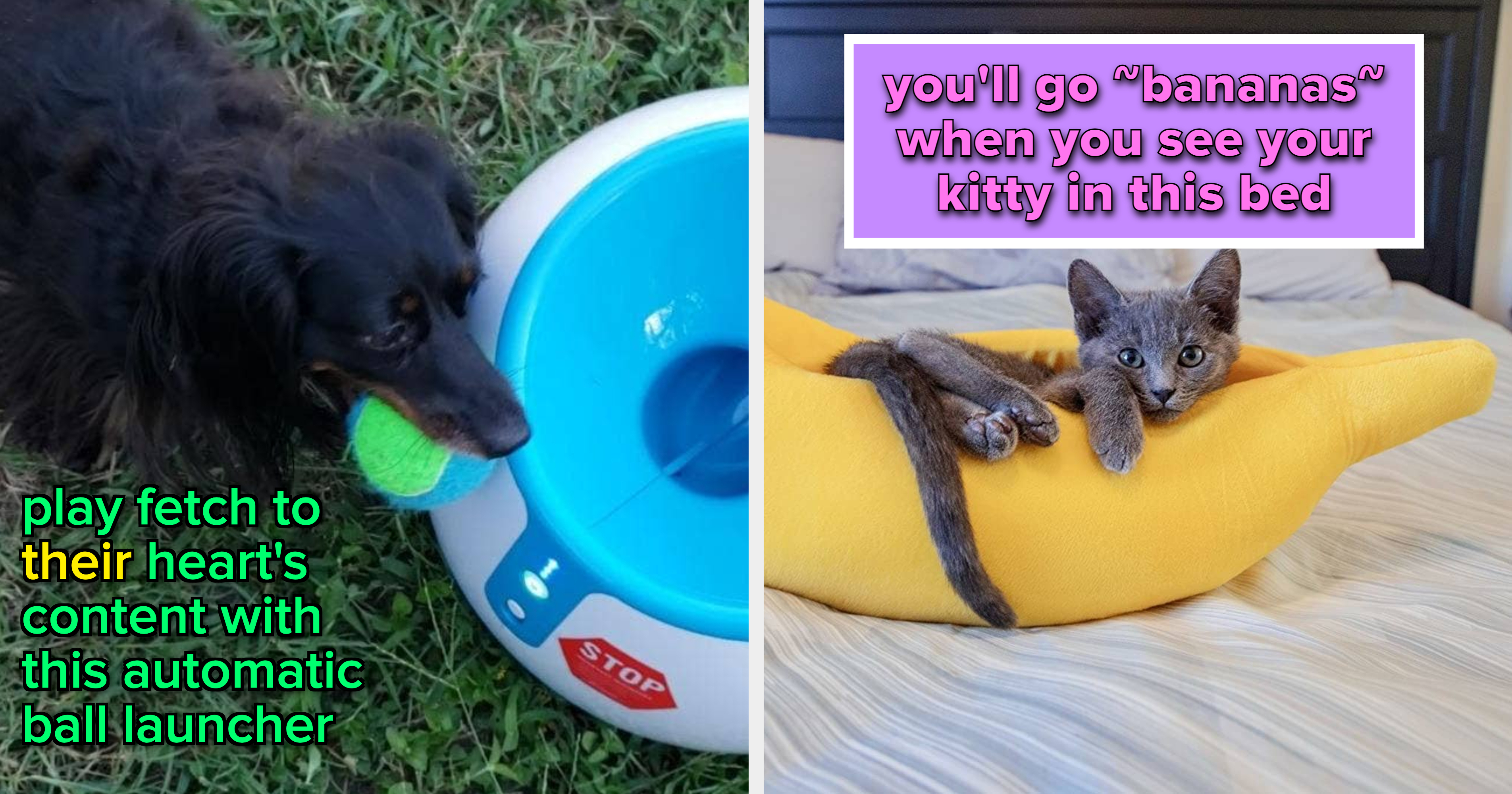 32 Pet Products You Won t Be Able To Resist Buying