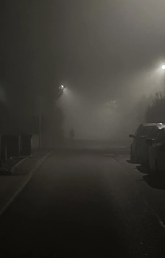 Foggy night scene with a dimly lit street and parked cars, creating a mysterious atmosphere