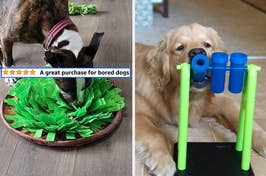 L: reviewer quote "a great purchase for bored dogs" on an image of a dog using a snuffle mat R: dog using a swinging tube puzzle toy