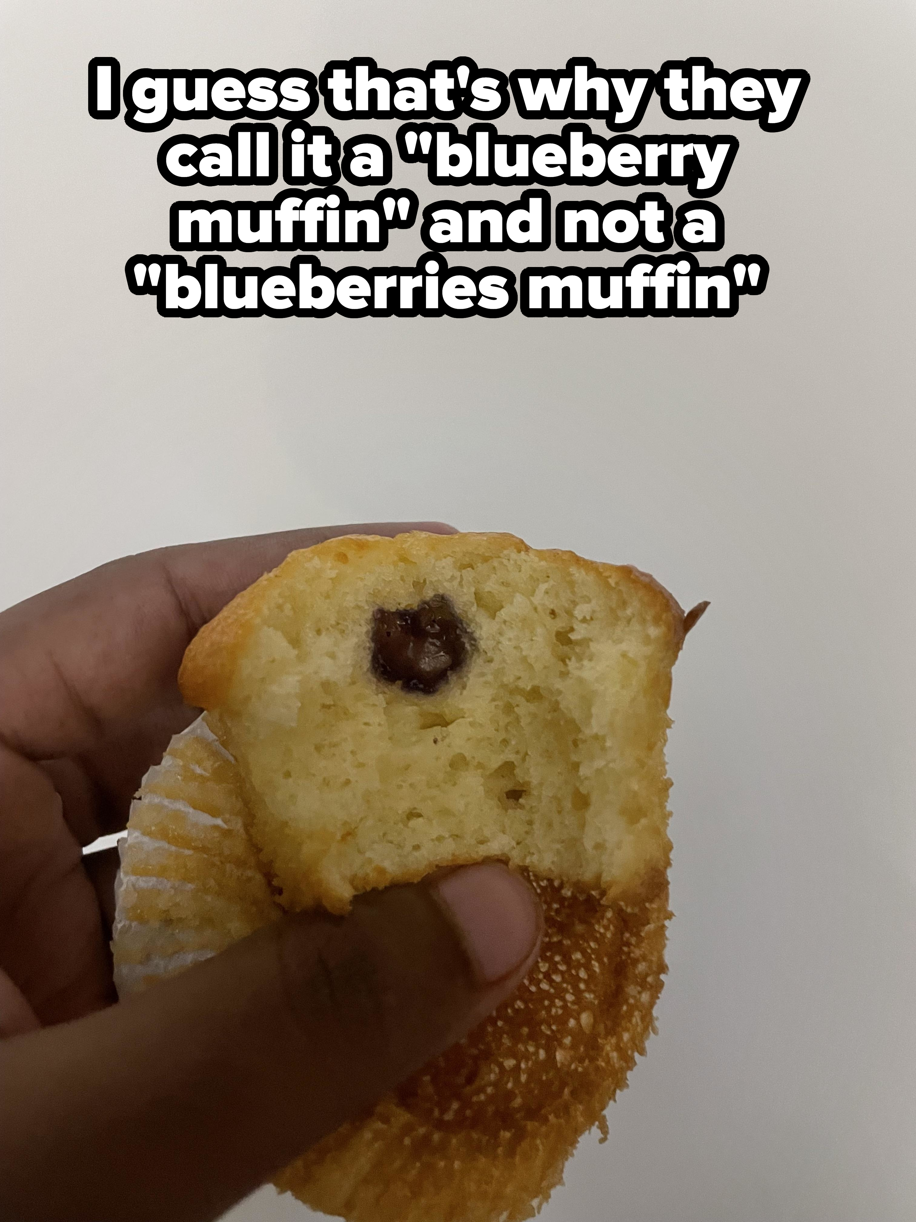 Hand holding a half-eaten muffin with a single blueberry inside, with caption, &quot;I guess that&#x27;s why they call it a blueberry muffin and not a blueberries muffin&quot;