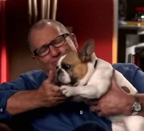 Ed O&#x27;Neill on &quot;Modern Family&quot; holding a dog