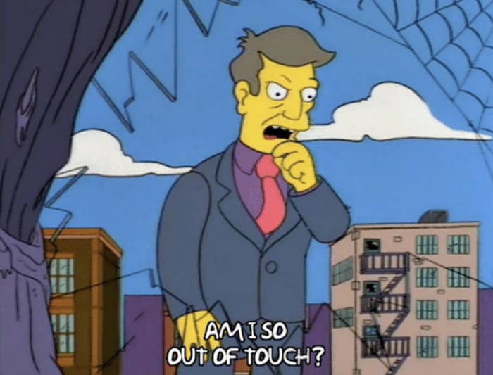 Principal Skinner from The Simpsons looking perplexed with a caption: &quot;Am I so out of touch?&quot;