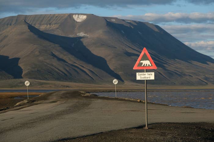 Traffic sign with polar bear warning next to a road with mountains in the background