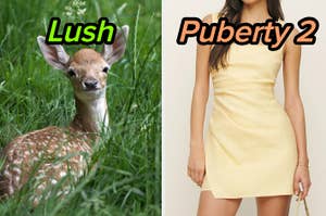On the left, a fawn in a field labeled Lush, and on the right, someone wearing a sleeveless mini dress labeled Puberty 2