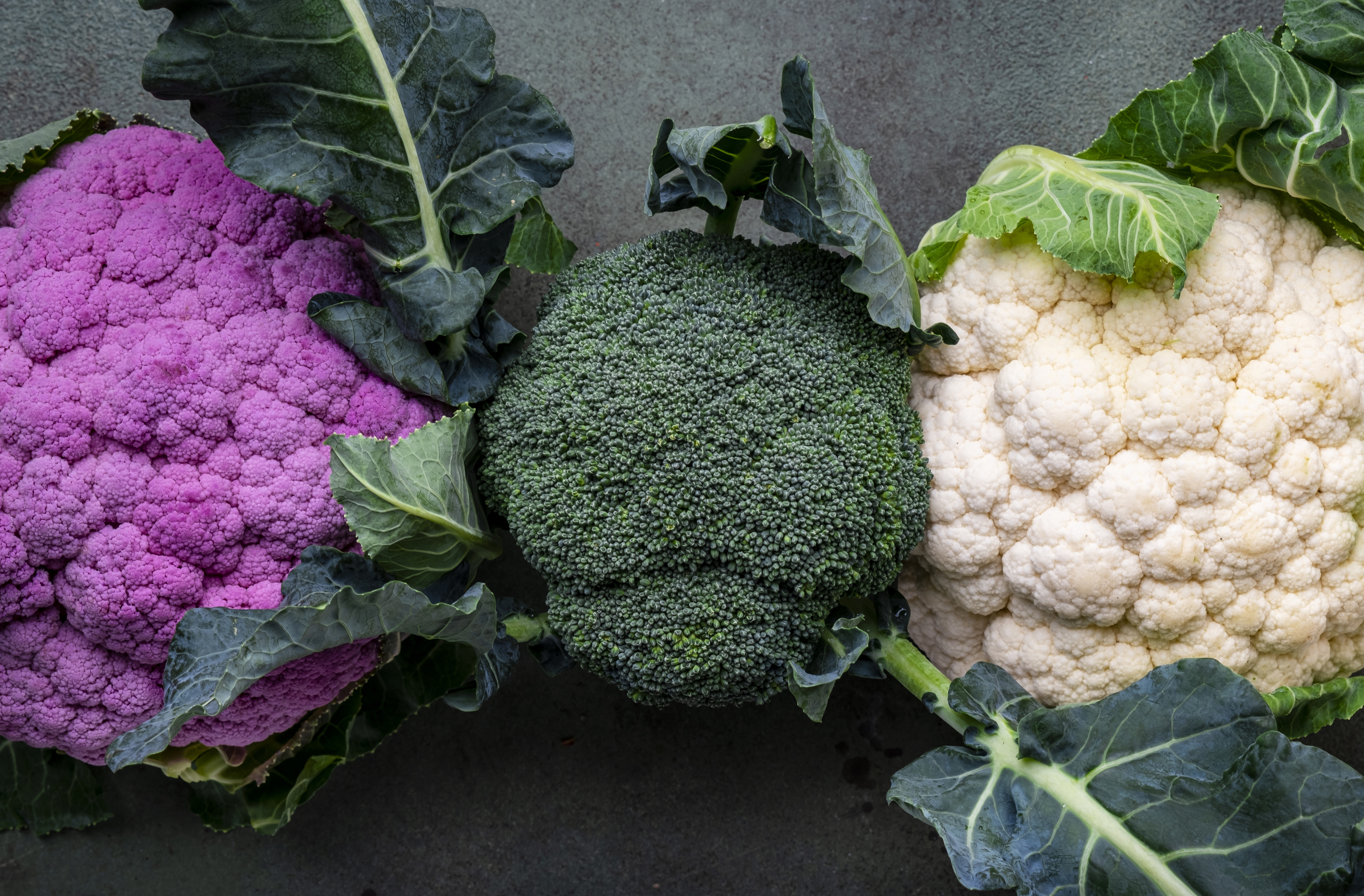 Three varieties of fresh broccoli and cauliflower displayed side by side