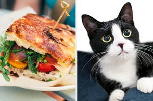 On the left, a veggie sandwich, and on the right, a tuxedo cat with big eyes