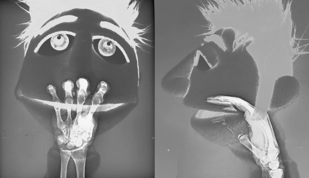 X-ray of a puppet