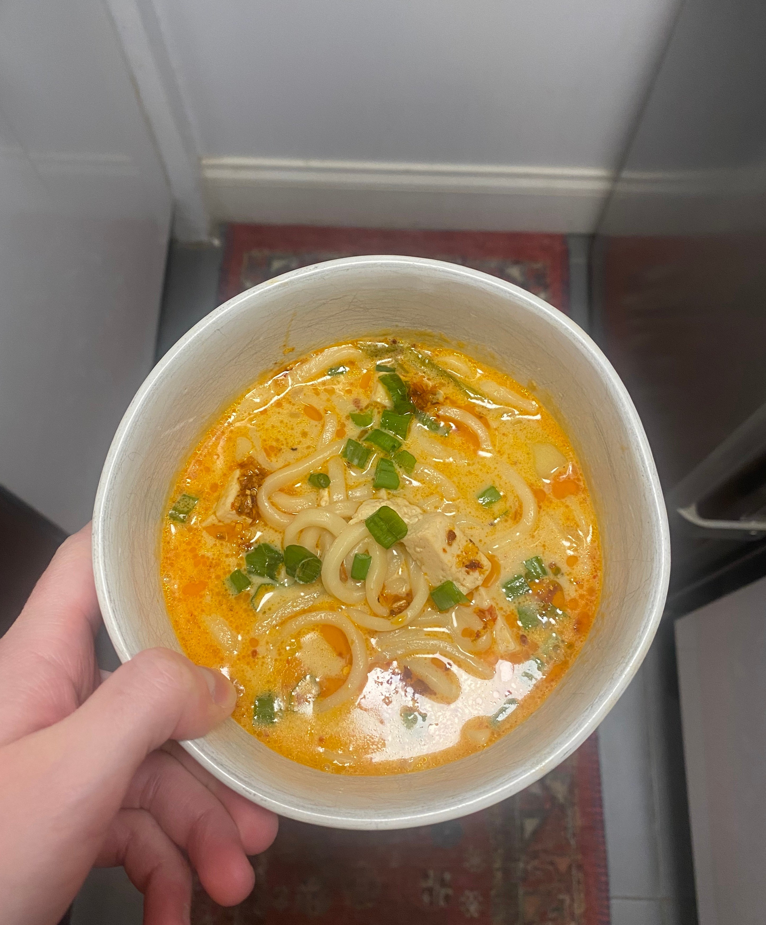 Hand holding a bowl of noodle soup with chopped green onions on top