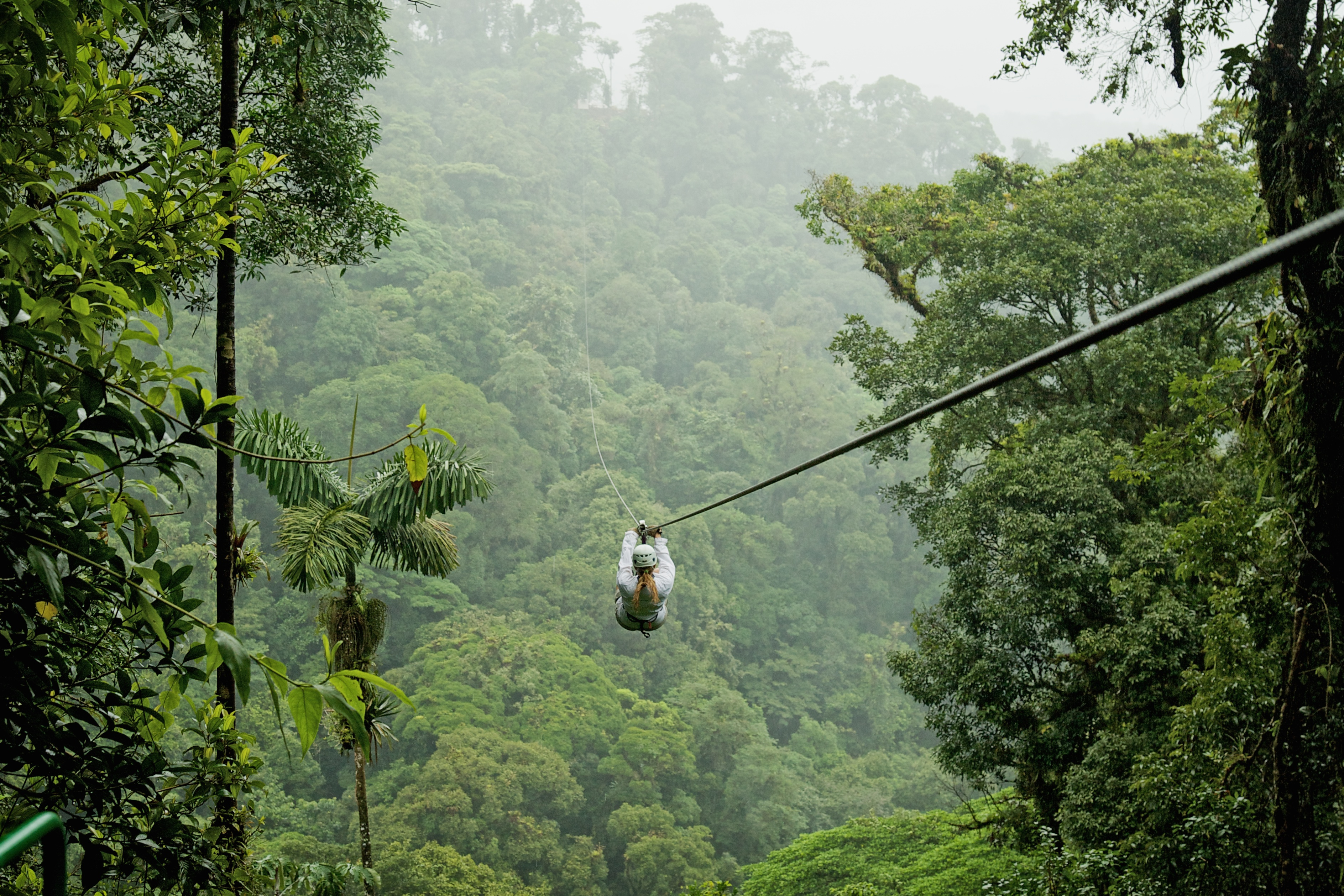 A person zip lining over trees and rainforest