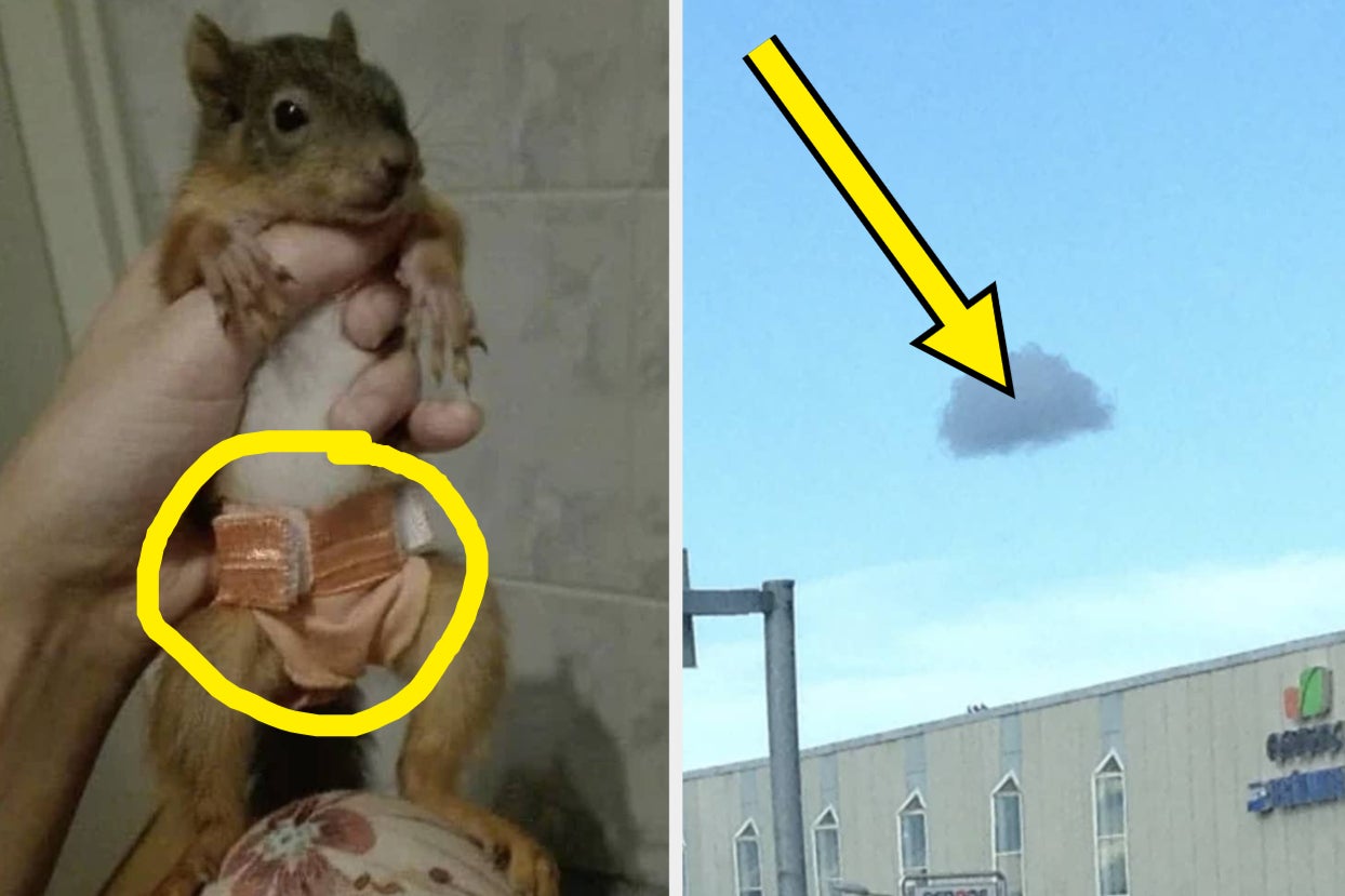 People Are Sharing The Unforgettable WTF Moments They've Witnessed Or Experienced, And It All Feels Like A Fever Dream