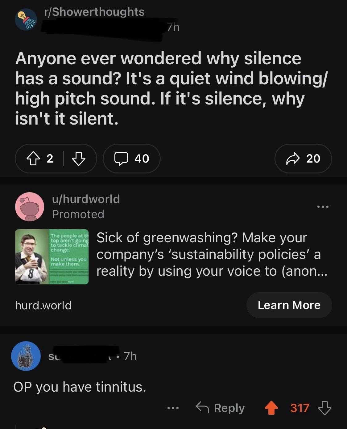 Social media message: &quot;Anyone ever wonder why silence has a sound? It&#x27;s a quiet wind blowing/high-pitch sound&quot;; response: &quot;OP you have tinnitus&quot;