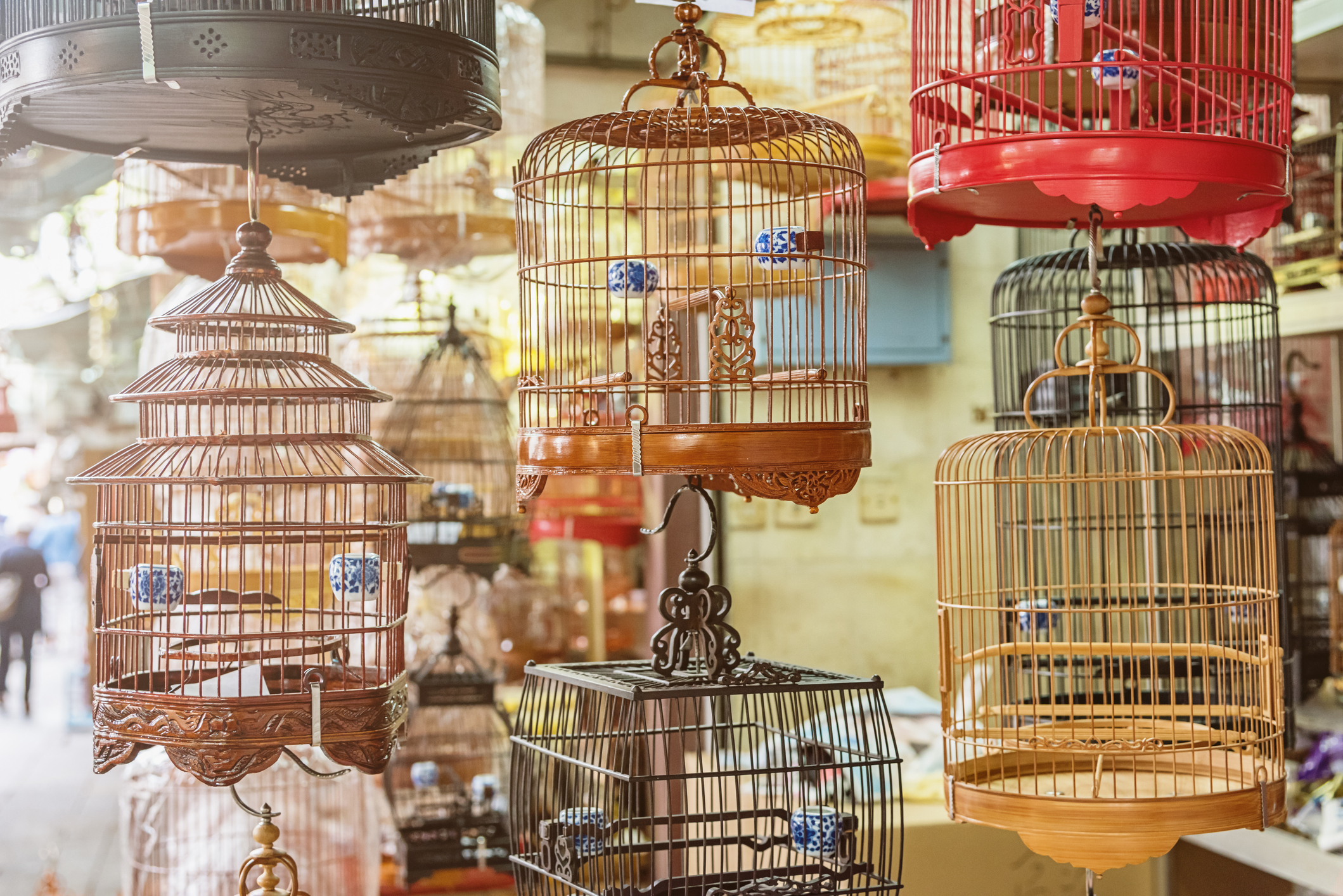 Decorative birdcages hanging in a market, with blurred shoppers in the background