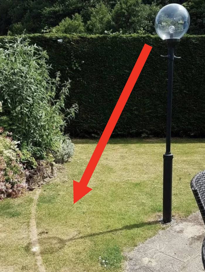 Lamp post in a garden with trimmed hedge and lawn, sunlight casting a shadow