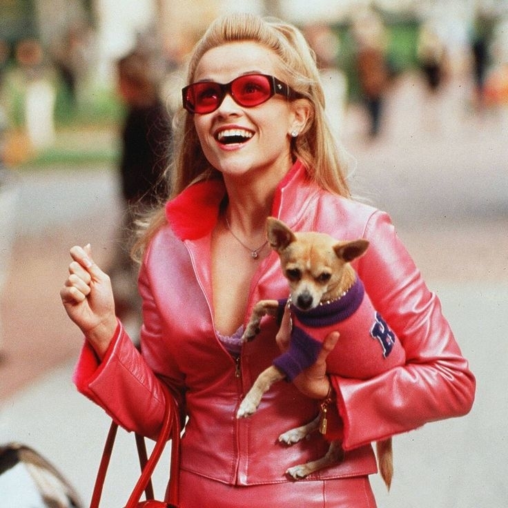 Reese Witherspoon como Elle Woods con chihuahua en brazos, chaqueta rosa y gafas de sol en &quot;Legally Blonde&quot;