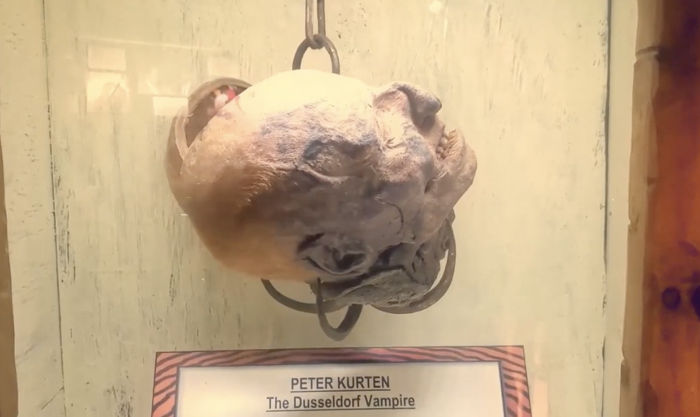 A preserved head labeled &quot;Peter Kurten - The Dusseldorf Vampire&quot; on display