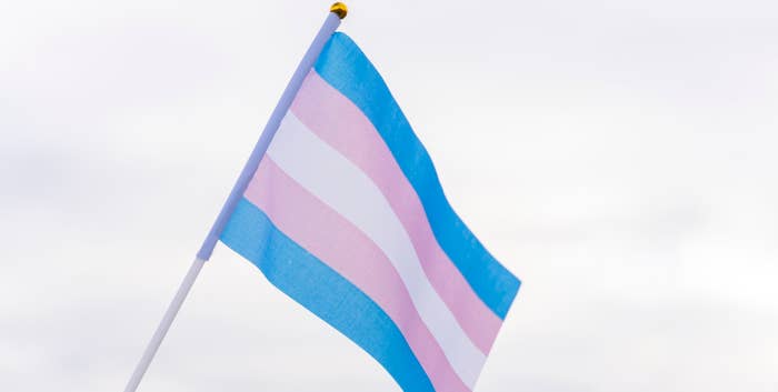 Transgender pride flag waving against a pale sky
