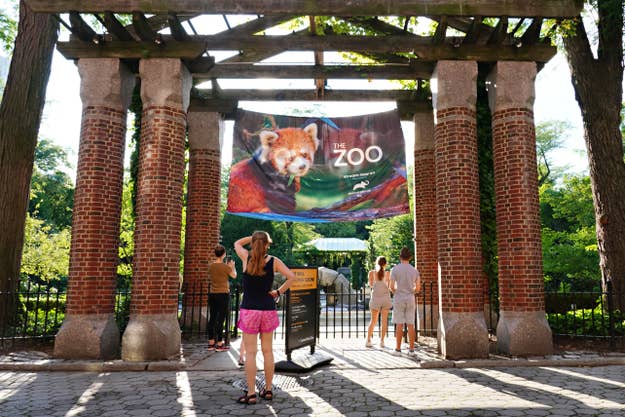 Visitors at the zoo entrance with a banner featuring a red panda