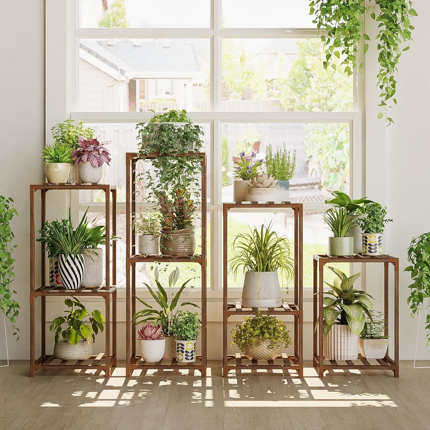 Assorted indoor plants on wooden shelves in front of a large window,