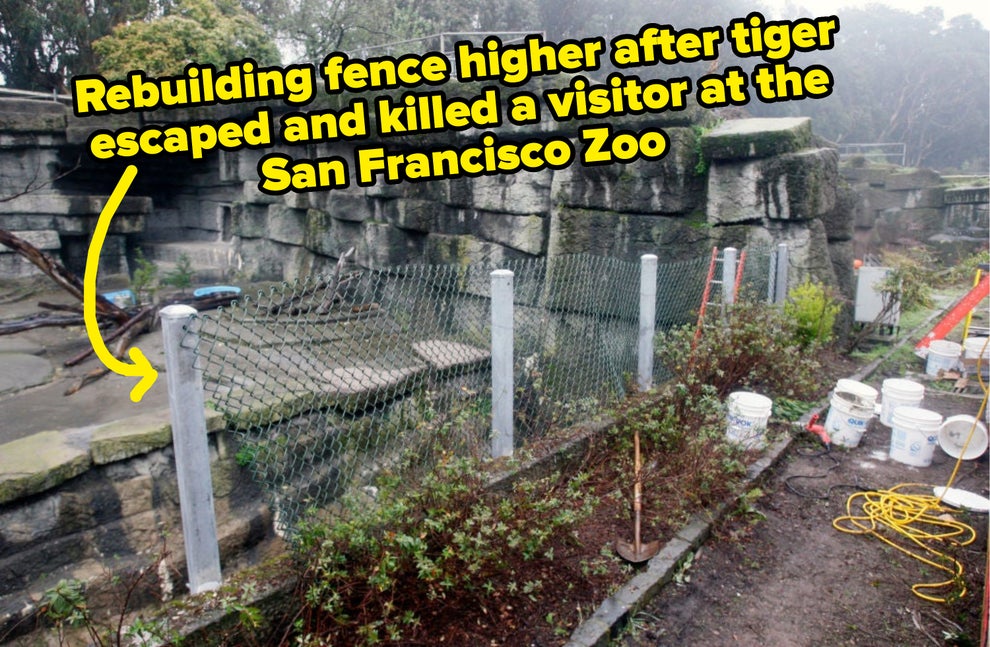 Zookeeper Cast Exposed the Shocking Truth Behind the Wild Zoo Acts!