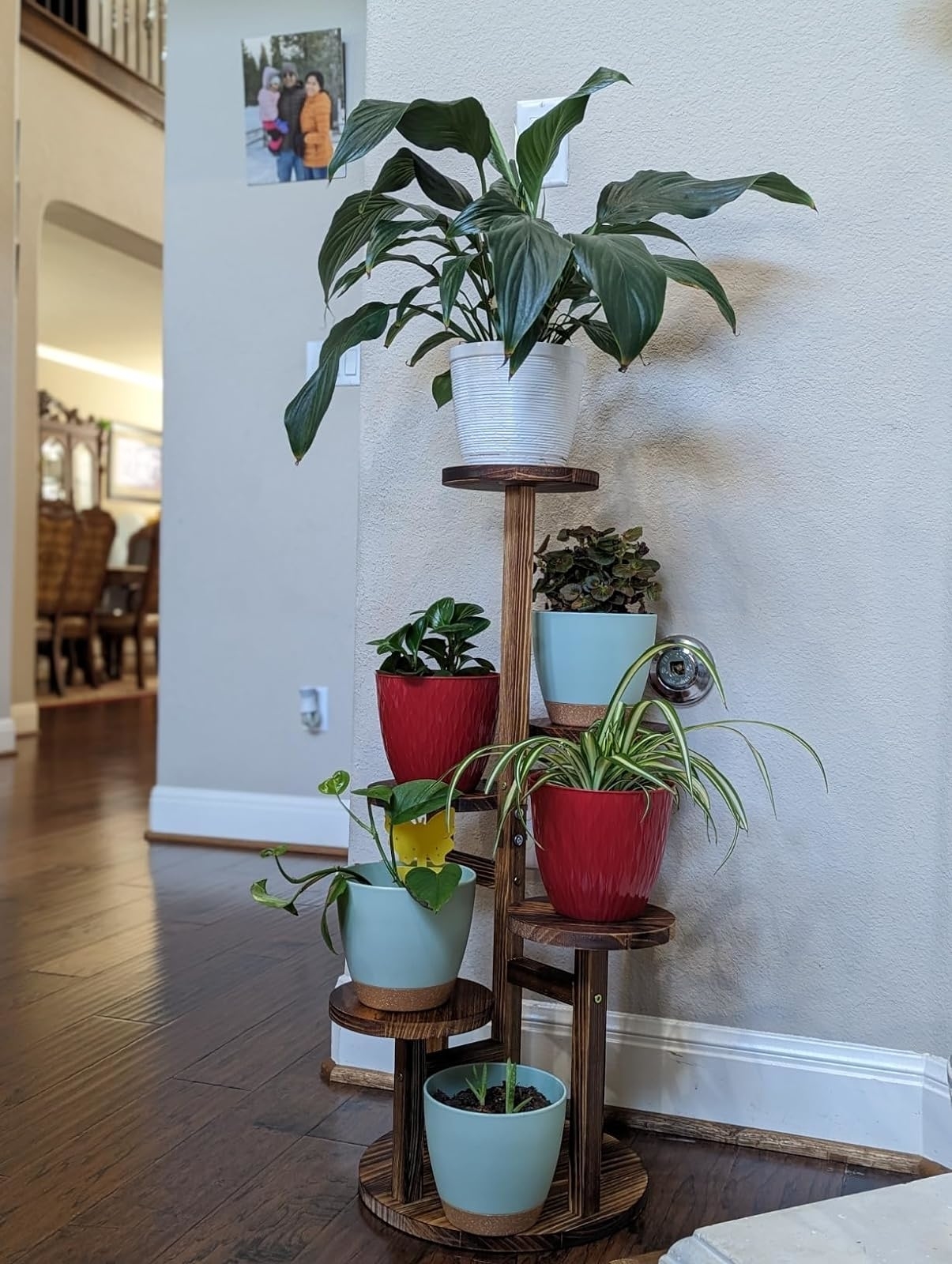 A multi-tiered wooden plant stand holding various houseplants in pots inside a home