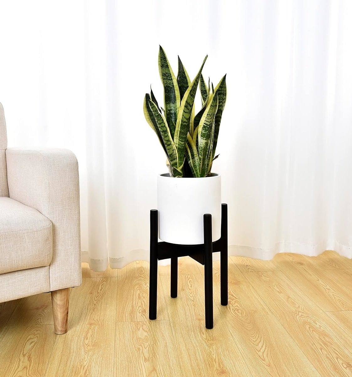 Snake plant in a white pot on a black stand, beside a beige armchair and white curtains