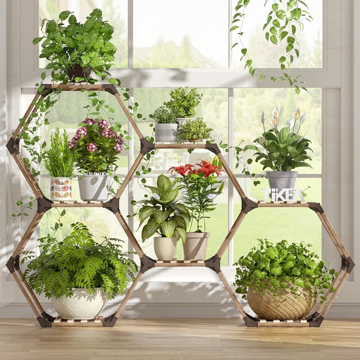 Various potted plants arranged on a multi-tiered, hexagonal shelving unit in a bright room