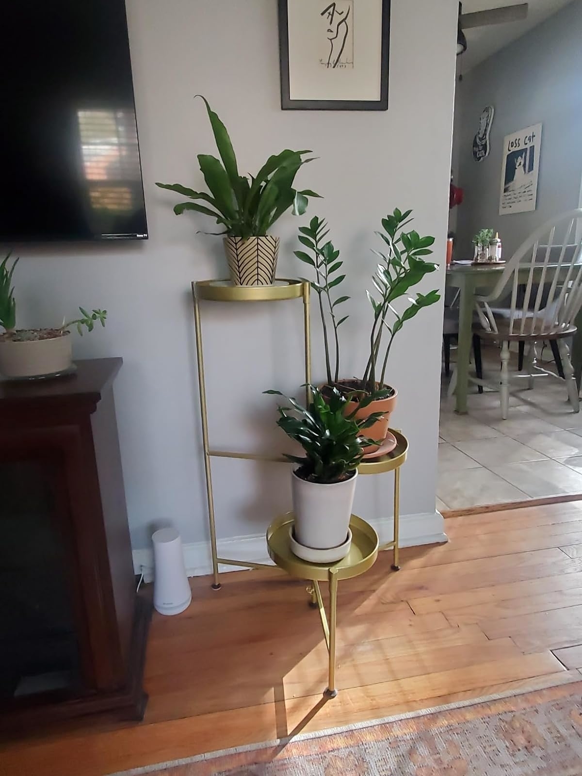 Indoor plant stand with various potted plants in a living room setting