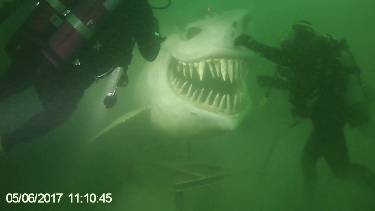 a shark statue underwater