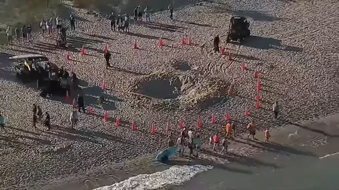 Aerial view of people surrounding a cordoned off area on a beach with two vehicles nearby