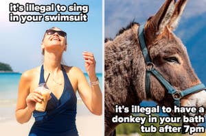 A split thumbnail, with two images - one showing a woman smiling up at the sun on a beach, and one showing a donkey's side profile