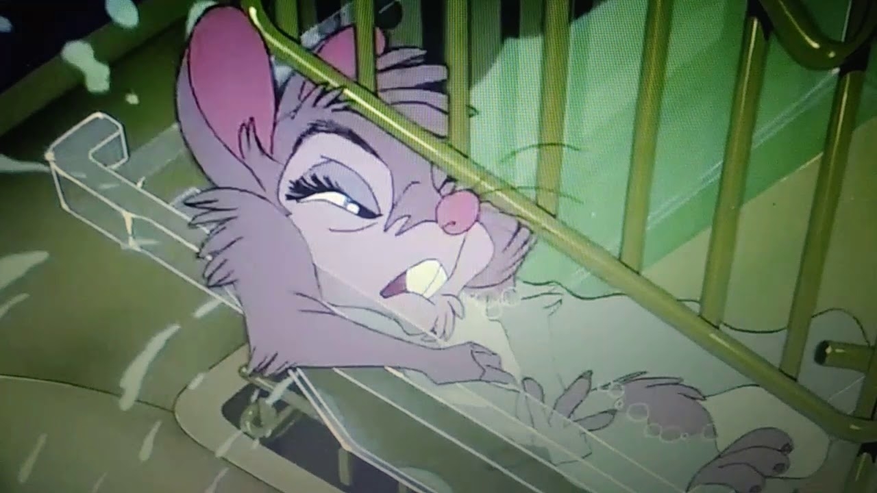 Mrs. Brisby, a mouse, trapped in a cage water dish
