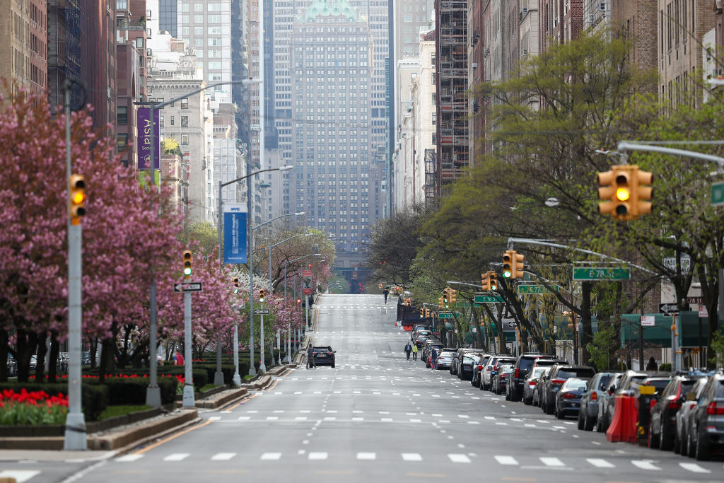 View of an empty city street lined with blooming trees, traffic lights, and parked cars
