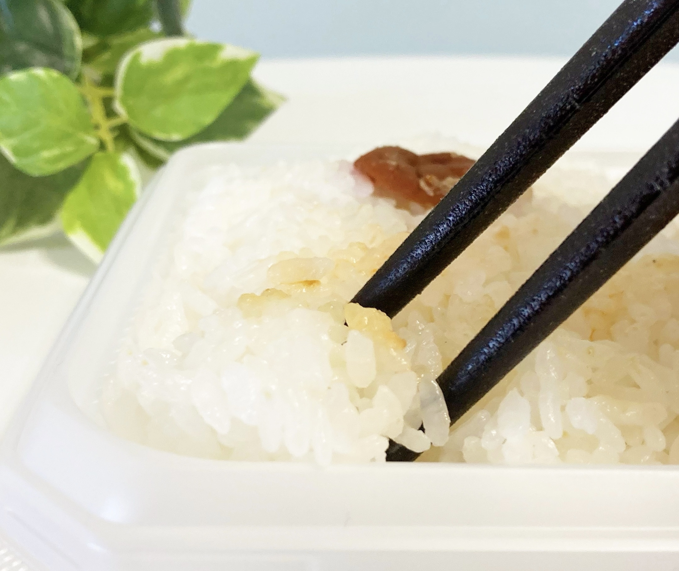 セブン-イレブンのおすすめお弁当「銀鮭西京焼きと和風おかずの幕の内」