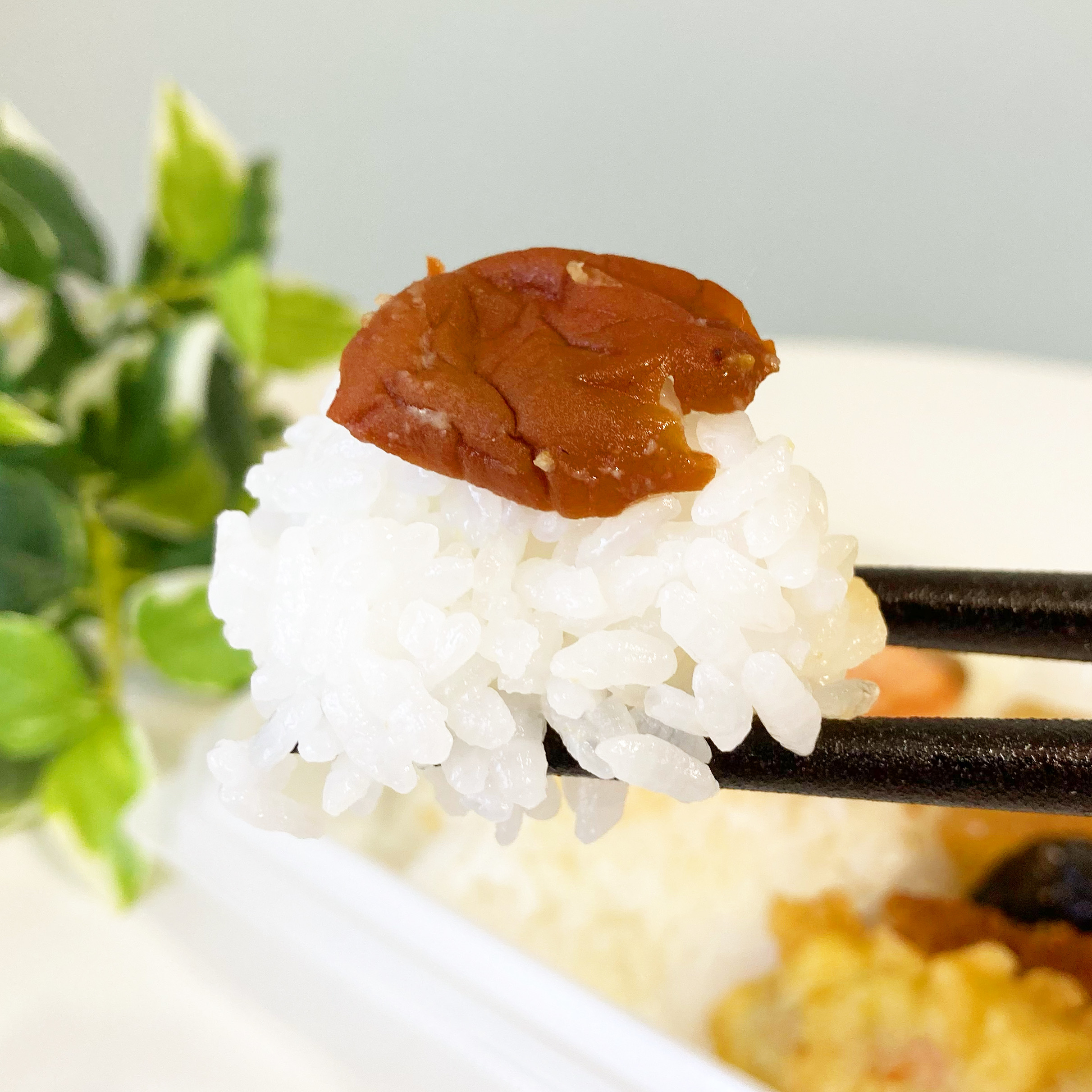 セブン-イレブンのおすすめお弁当「銀鮭西京焼きと和風おかずの幕の内」