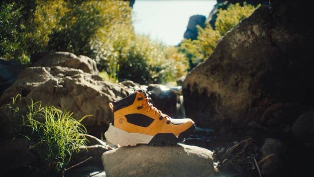 A single hiking boot on a rock surrounded by foliage in what appears to be a forest setting