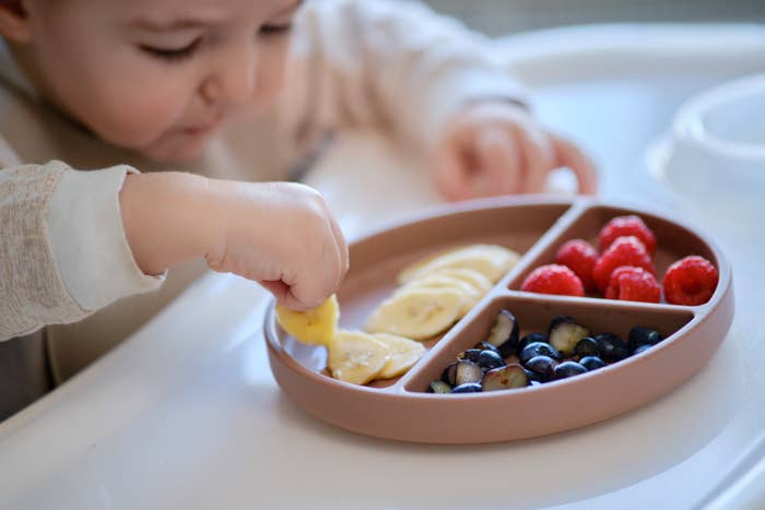 Toddler reaching for food in a partitioned plate on highchair