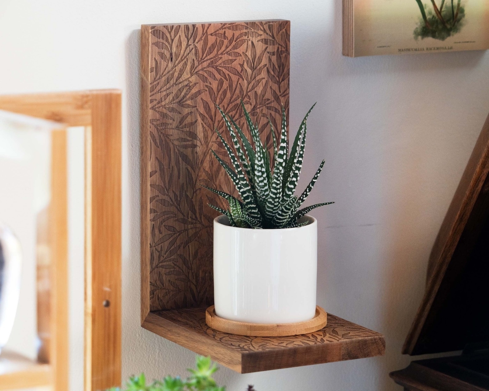 Succulent plant in a white pot on a wooden shelf against an engraved wall-mounted plant stand