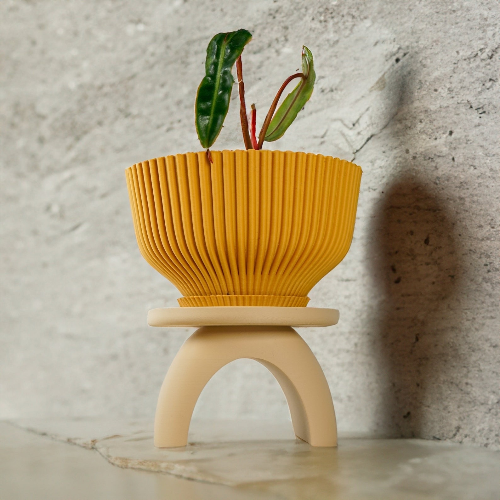 Yellow pleated planter on a cream base with a small plant