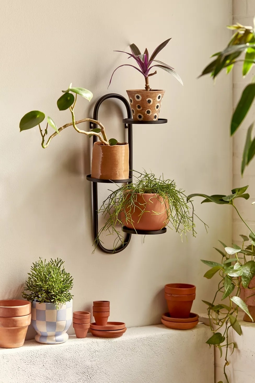 Black and store Copper Plant Hanger