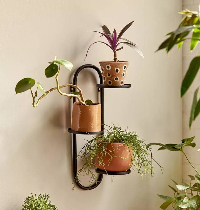 A vertical wall planter displaying various potted houseplants, useful for indoor gardening
