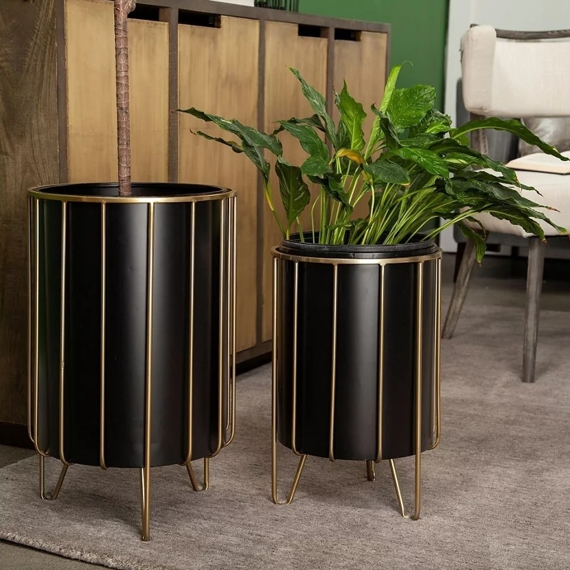 Two cylindrical, black plant stands with gold-toned legs, each holding a green plant